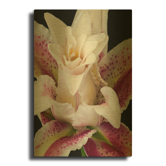 'Crowning Glory' By Pamela Plummer Gold Metal Wall Art