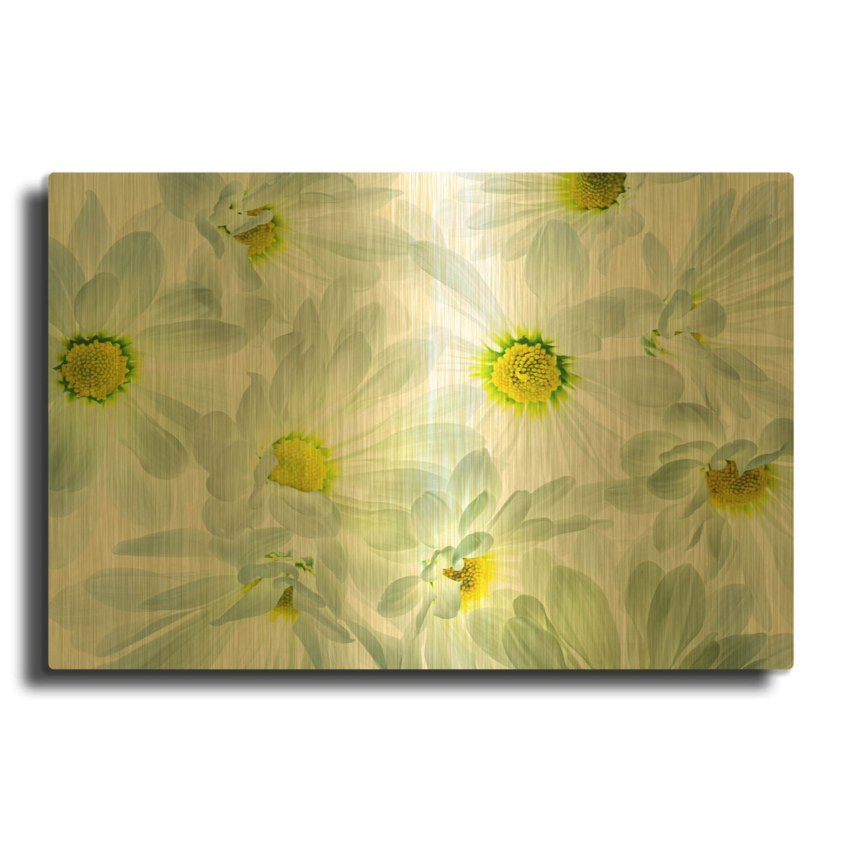'Daisy Dance' By Pamela Plummer Gold Metal Wall Art