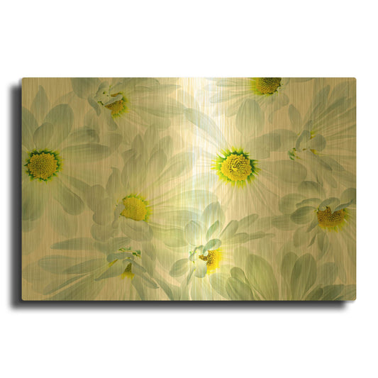 'Daisy Dance' By Pamela Plummer Gold Metal Wall Art