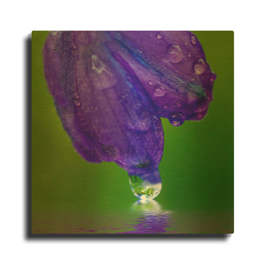 'Delphinium Kiss' By Pamela Plummer Gold Metal Wall Art