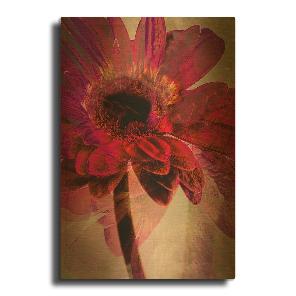 'Disco Nights' By Pamela Plummer Gold Metal Wall Art