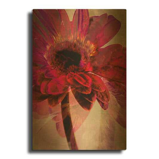'Disco Nights' By Pamela Plummer Gold Metal Wall Art