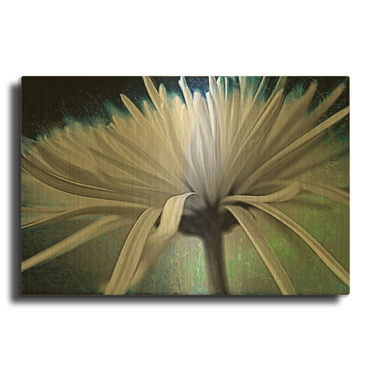 'Explosion 2' By Pamela Plummer Gold Metal Wall Art