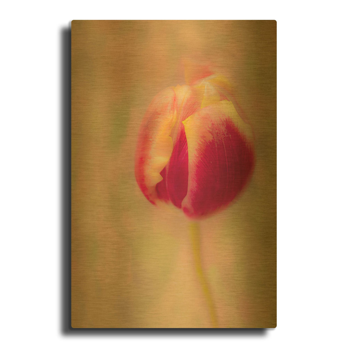 'First Bloom' By Pamela Plummer Gold Metal Wall Art