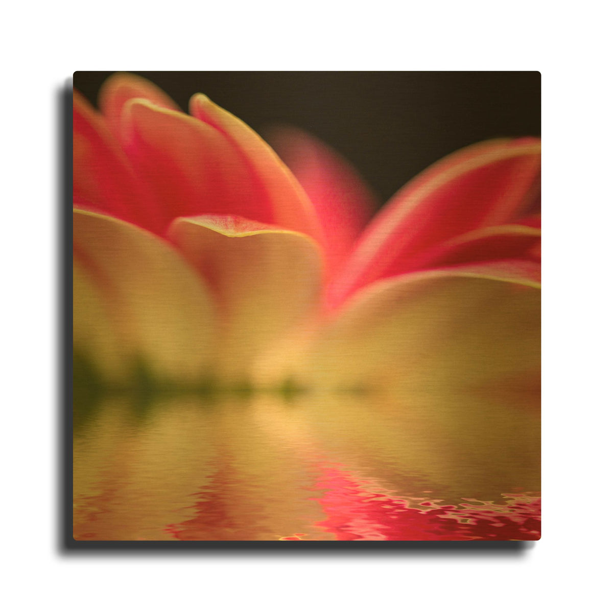 'Gerbera Daisy Reflection' By Pamela Plummer Gold Metal Wall Art