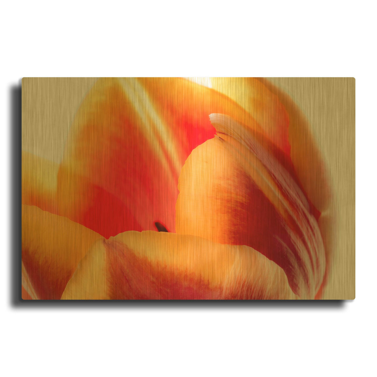 'Just A Peek' By Pamela Plummer Gold Metal Wall Art