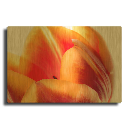 'Just A Peek' By Pamela Plummer Gold Metal Wall Art