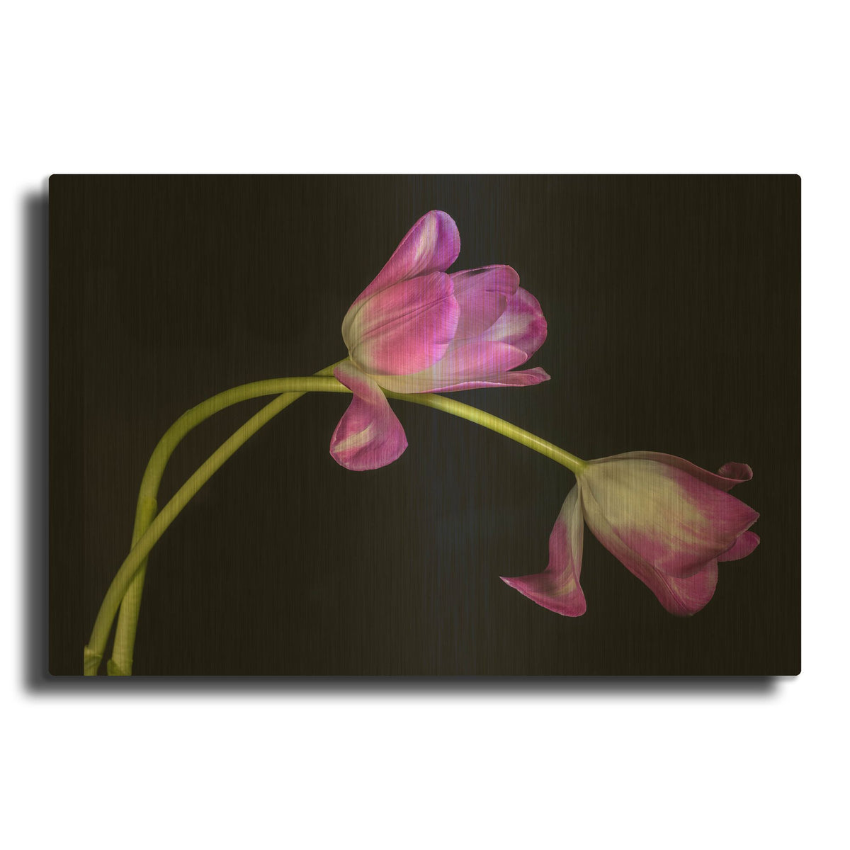 'Just The Two Of Us' By Pamela Plummer Gold Metal Wall Art