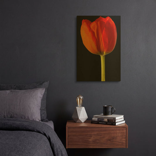 'Lady In Red' By Pamela Plummer Gold Metal Wall Art