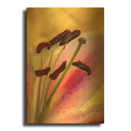 'Lily Anthers' By Pamela Plummer Gold Metal Wall Art