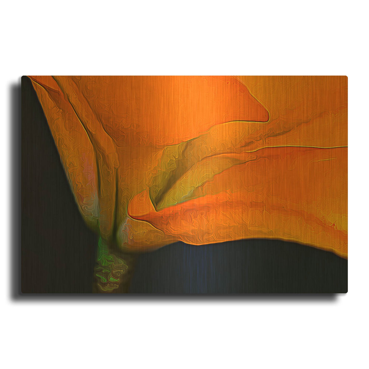 'Lily Dressed In Orange' By Pamela Plummer Gold Metal Wall Art