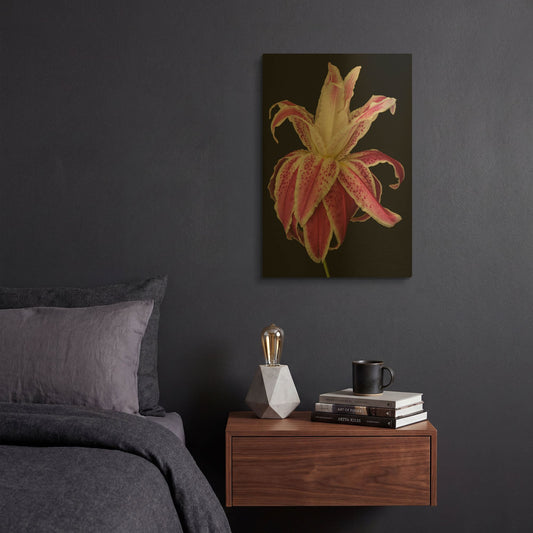 'Lily Queen' By Pamela Plummer Gold Metal Wall Art