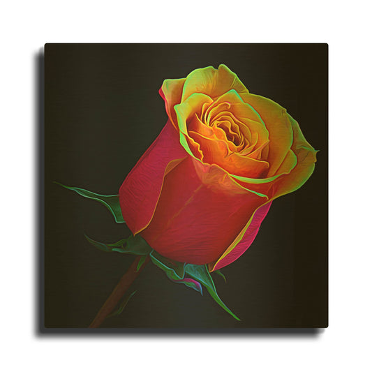 'Little Rosebud' By Pamela Plummer Gold Metal Wall Art