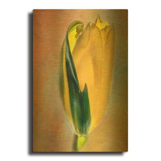 'Little Sister' By Pamela Plummer Gold Metal Wall Art