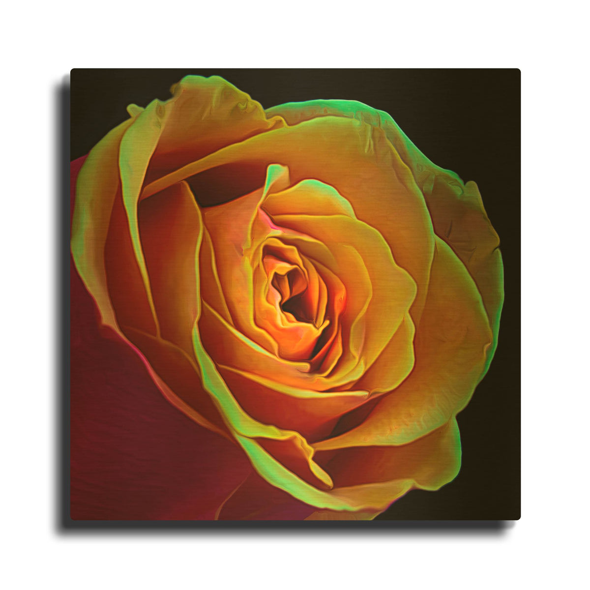 'Love Is A Rose 2' By Pamela Plummer Gold Metal Wall Art