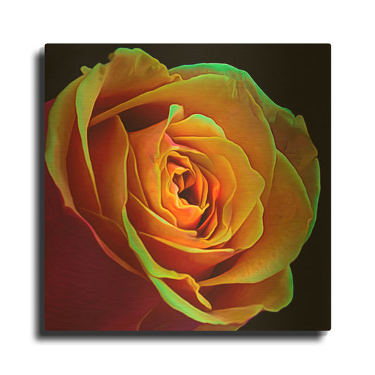 'Love Is A Rose 2' By Pamela Plummer Gold Metal Wall Art
