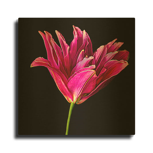 'Miss Lily Midnight' By Pamela Plummer Gold Metal Wall Art