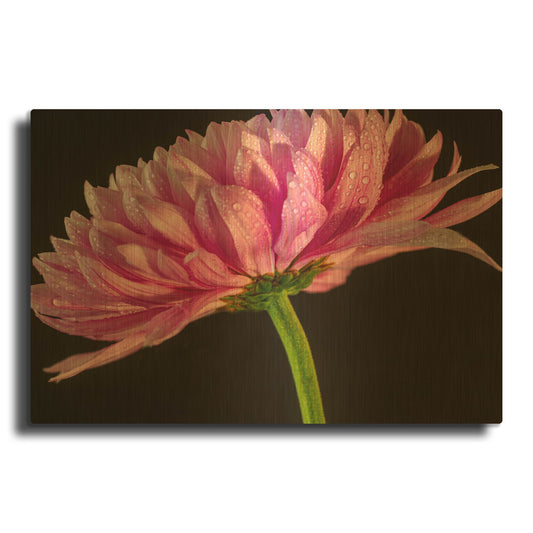 'Mum With Water Droplets' By Pamela Plummer Gold Metal Wall Art