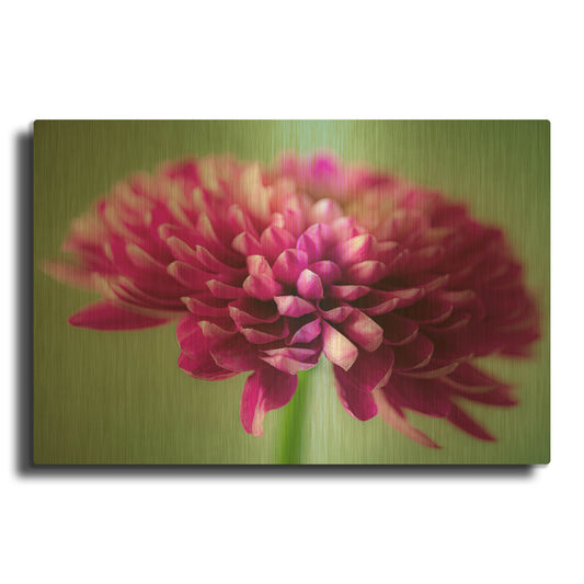 'Mums The Word' By Pamela Plummer Gold Metal Wall Art