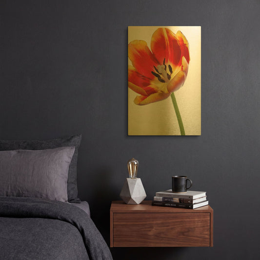 'Orange Poppy Opened Today' By Pamela Plummer Gold Metal Wall Art
