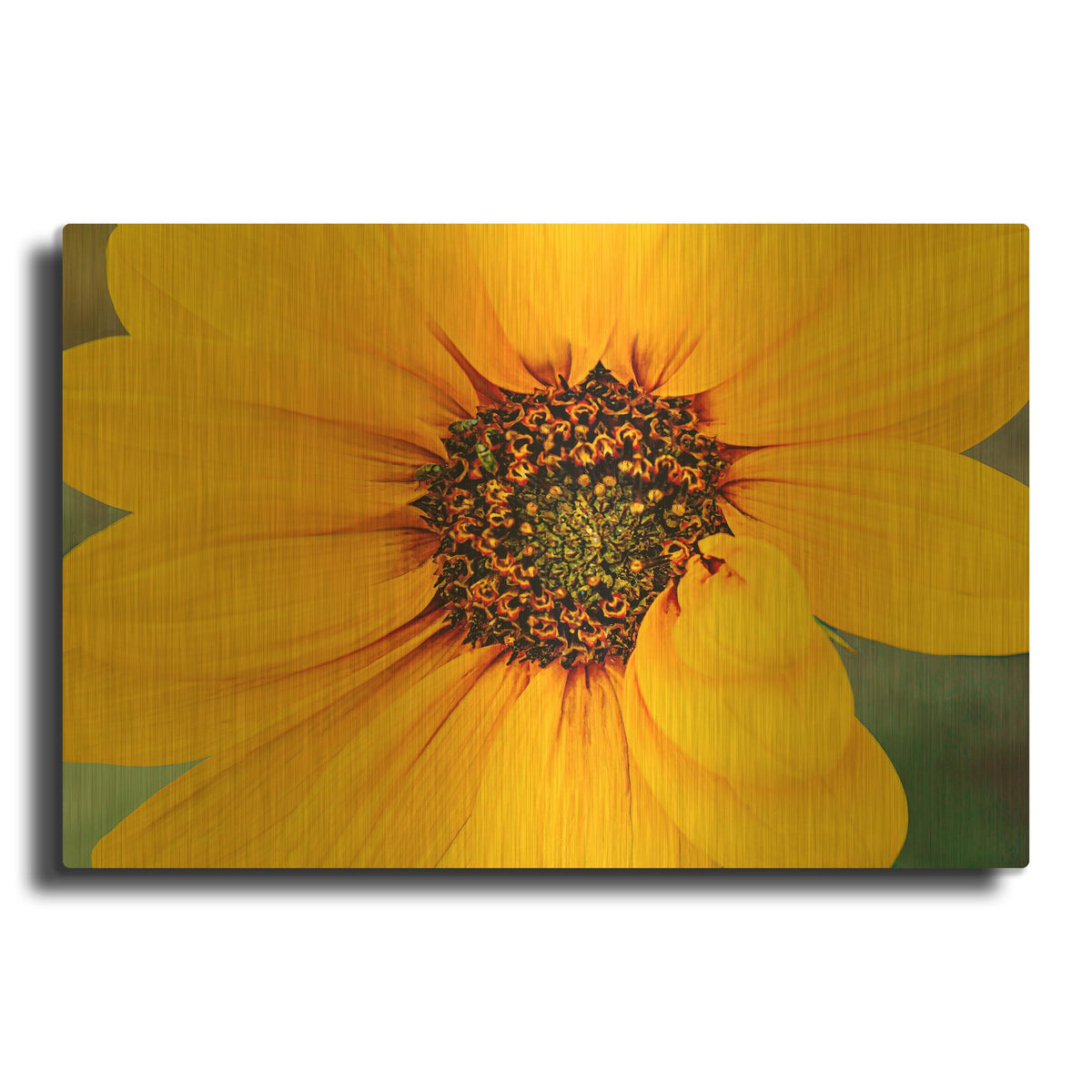 'Petal Gone Wild' By Pamela Plummer Gold Metal Wall Art
