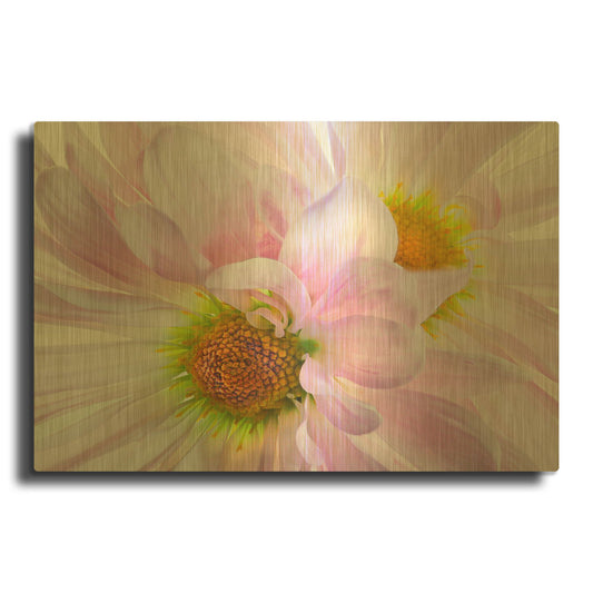 'Pink Daisys' By Pamela Plummer Gold Metal Wall Art