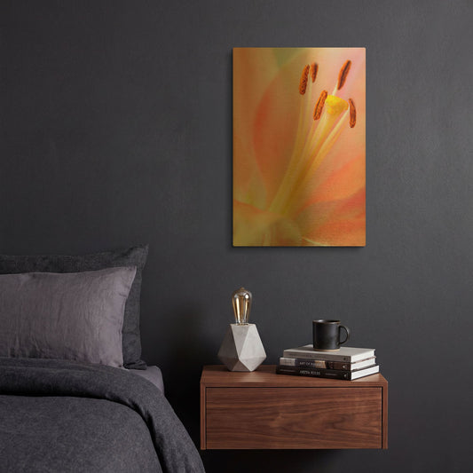 'Pink Lily So Soft' By Pamela Plummer Gold Metal Wall Art