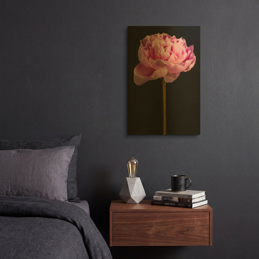 'Pink Peony' By Pamela Plummer Gold Metal Wall Art