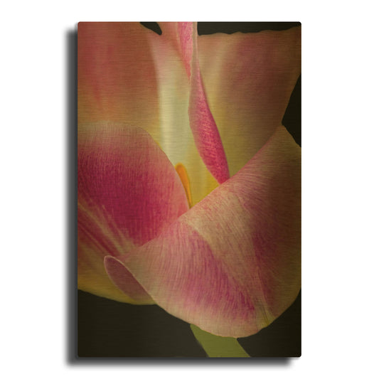 'Pretty In Pink' By Pamela Plummer Gold Metal Wall Art