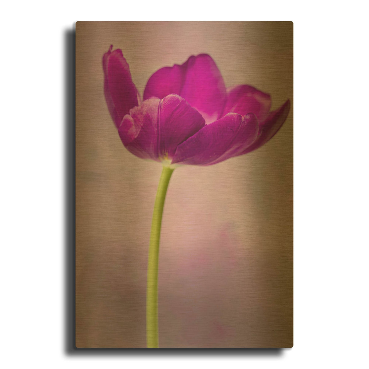 'Purple Majesty' By Pamela Plummer Gold Metal Wall Art