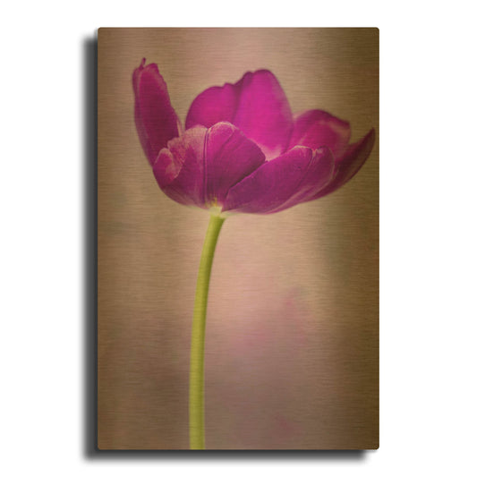 'Purple Majesty' By Pamela Plummer Gold Metal Wall Art