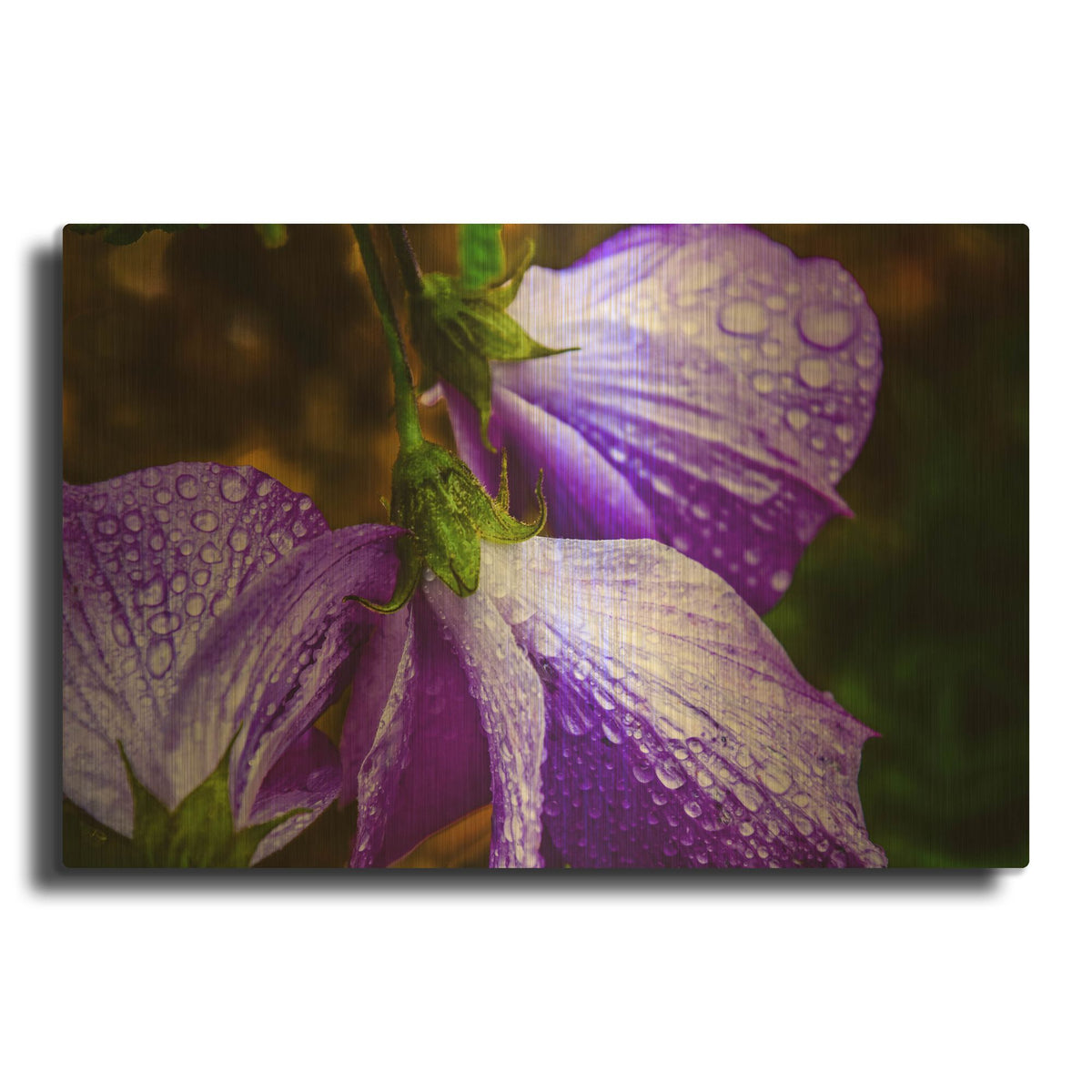 'Purple Rain' By Pamela Plummer Gold Metal Wall Art
