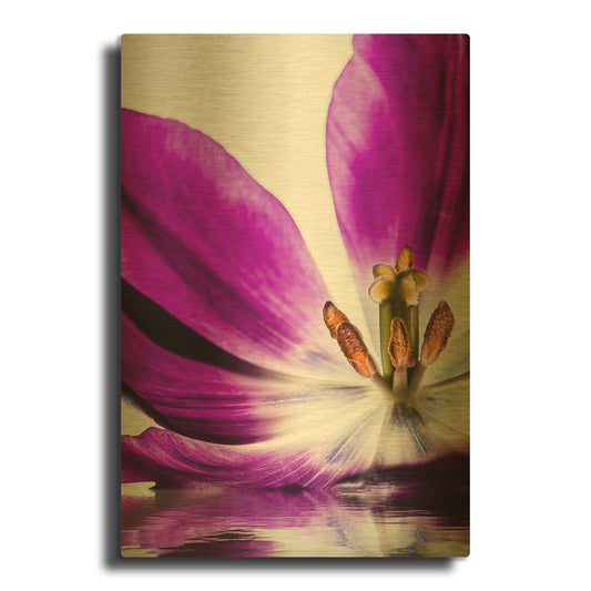 'Purple Tulip Reflection' By Pamela Plummer Gold Metal Wall Art
