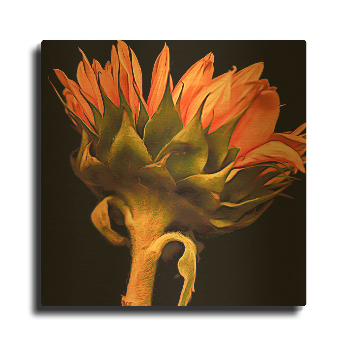 'Sunflower' By Pamela Plummer Gold Metal Wall Art
