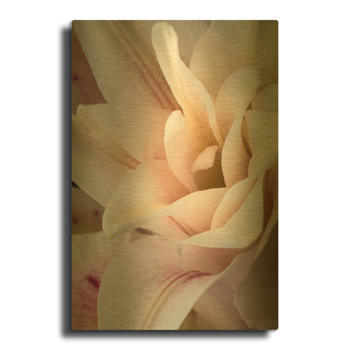 'They Called Her Baby Lily' By Pamela Plummer Gold Metal Wall Art
