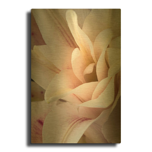 'They Called Her Baby Lily' By Pamela Plummer Gold Metal Wall Art