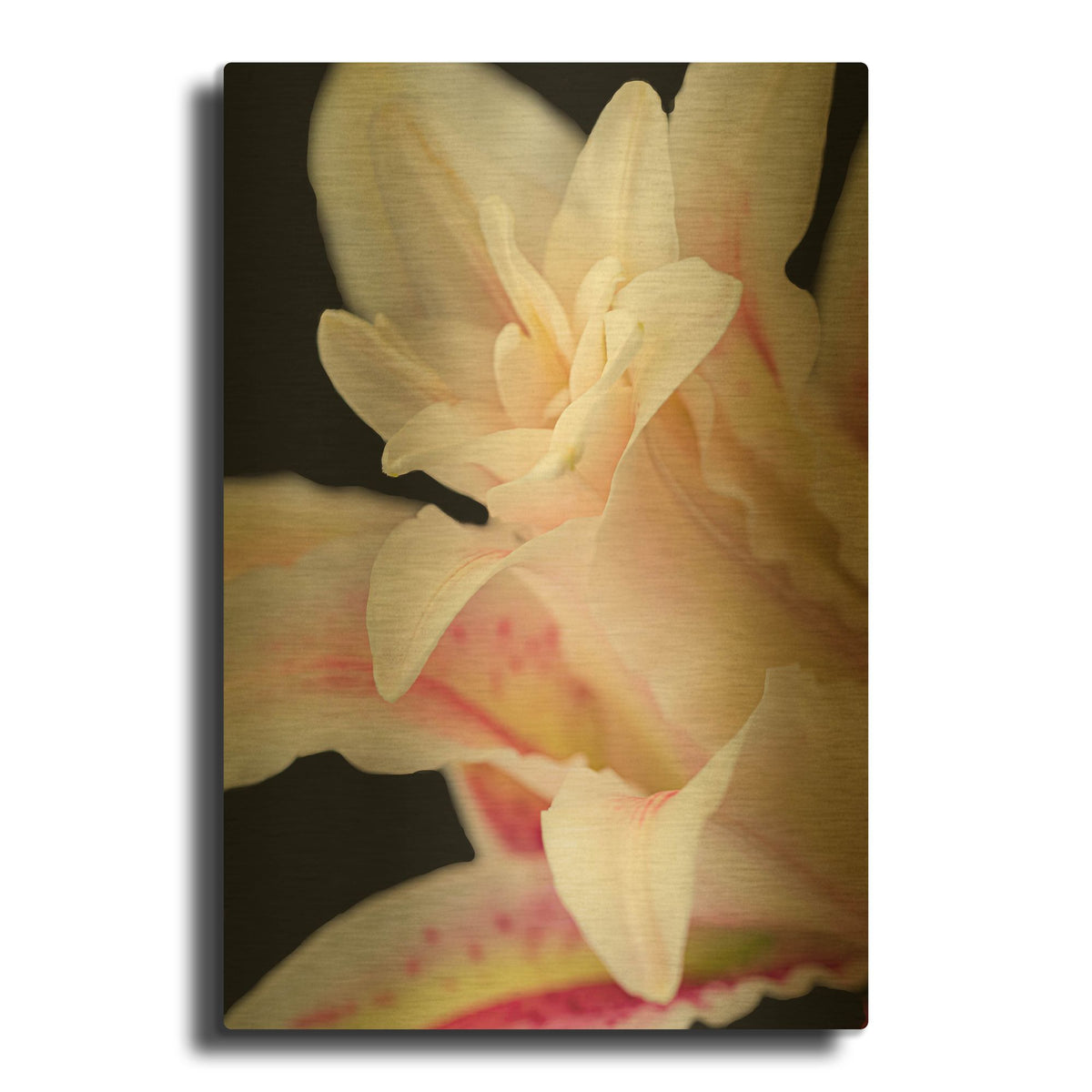 'They Called Her Lily' By Pamela Plummer Gold Metal Wall Art