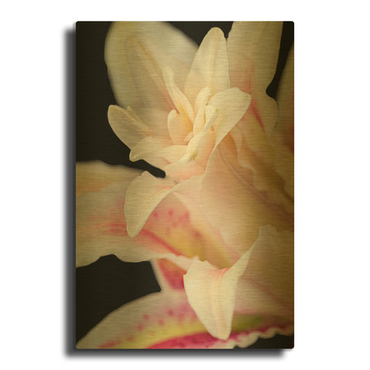 'They Called Her Lily' By Pamela Plummer Gold Metal Wall Art