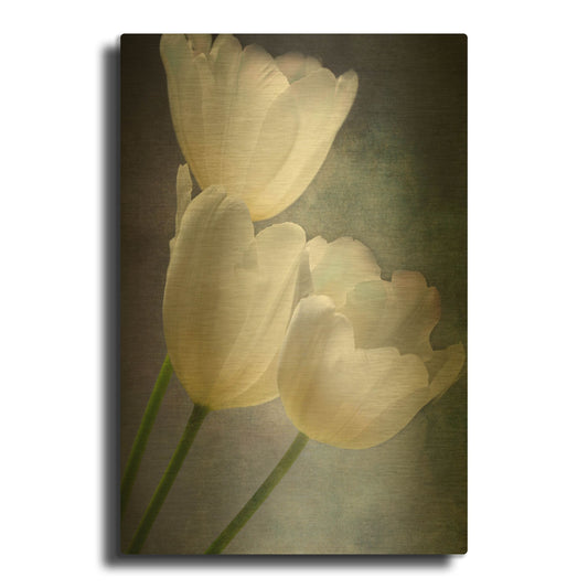 'Three Times A Lady' By Pamela Plummer Gold Metal Wall Art