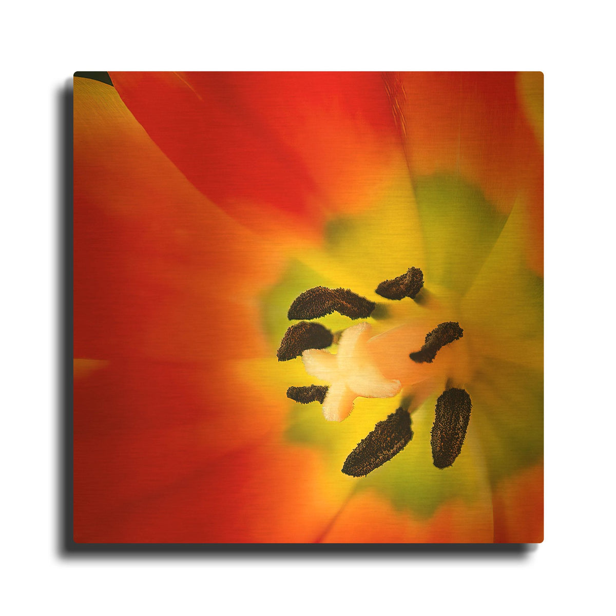 'Tulip Anthers' By Pamela Plummer Gold Metal Wall Art