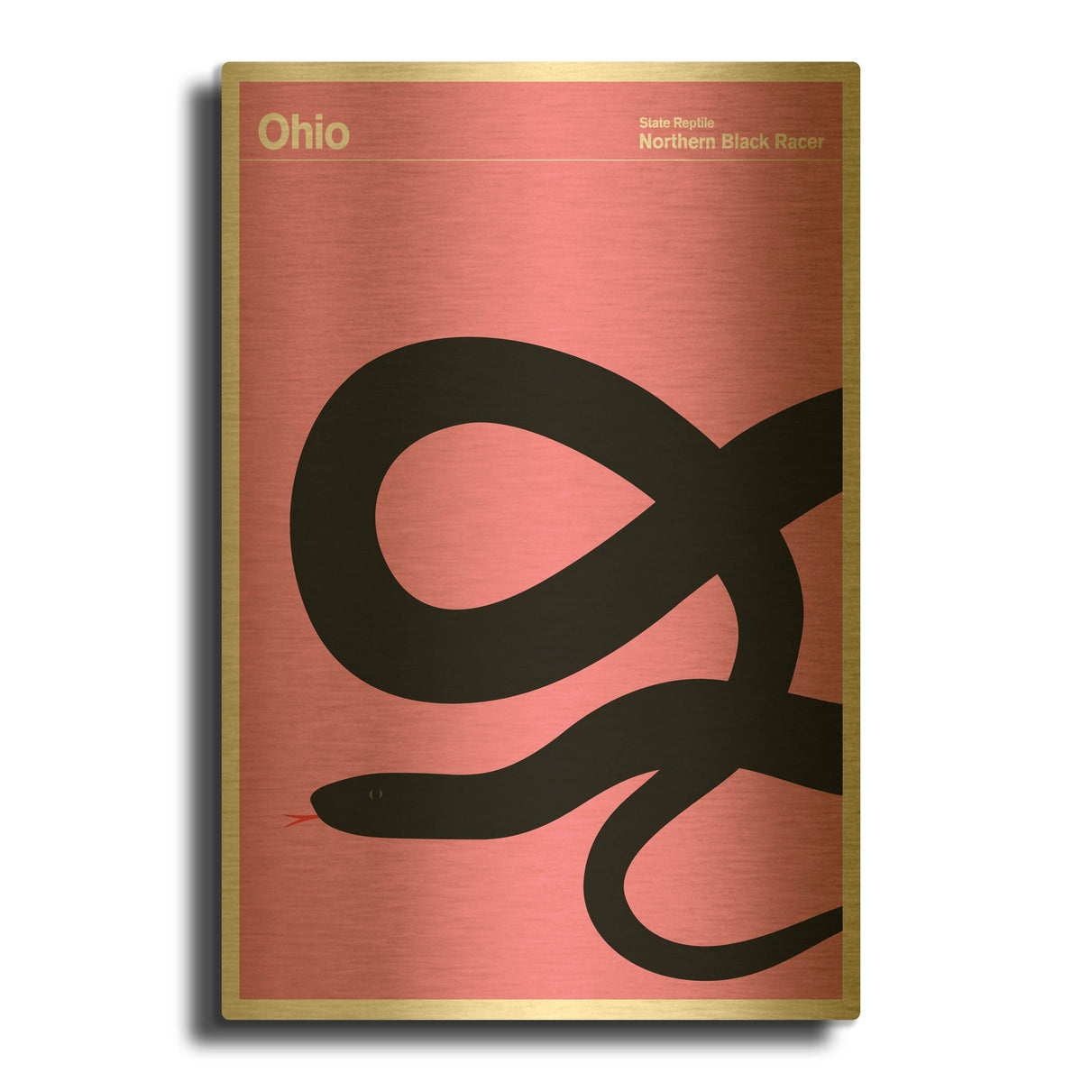 'State Posters OH' By Print Collection Gold Metal Wall Art