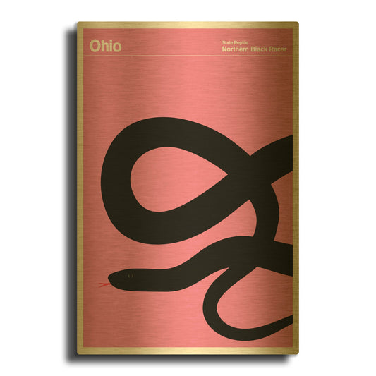 'State Posters OH' By Print Collection Gold Metal Wall Art