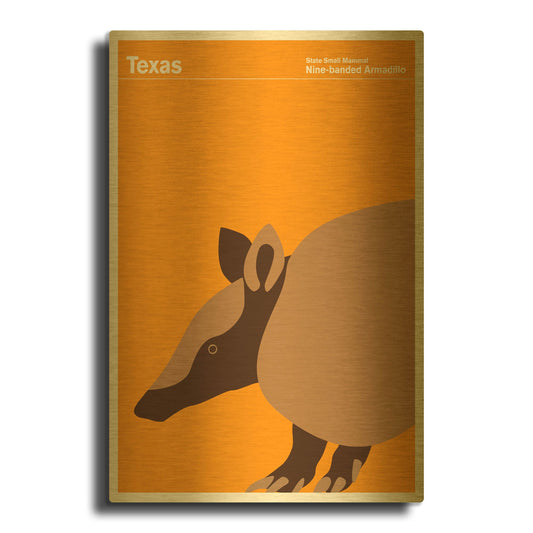 'State Posters TX' By Print Collection Gold Metal Wall Art