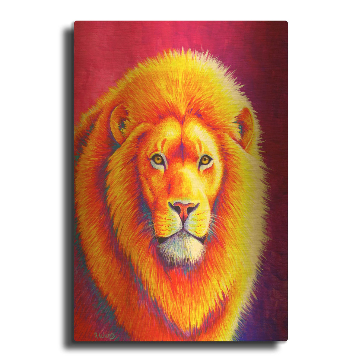 'Sunset on the Savanna African Lion' By Rebecca Wang Art Gold Metal Wall Art