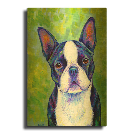 'Boston Terrier' By Rebecca Wang Art Gold Metal Wall Art