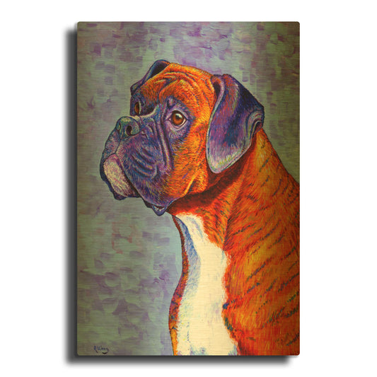 'Brindle Boxer Dog' By Rebecca Wang Art Gold Metal Wall Art
