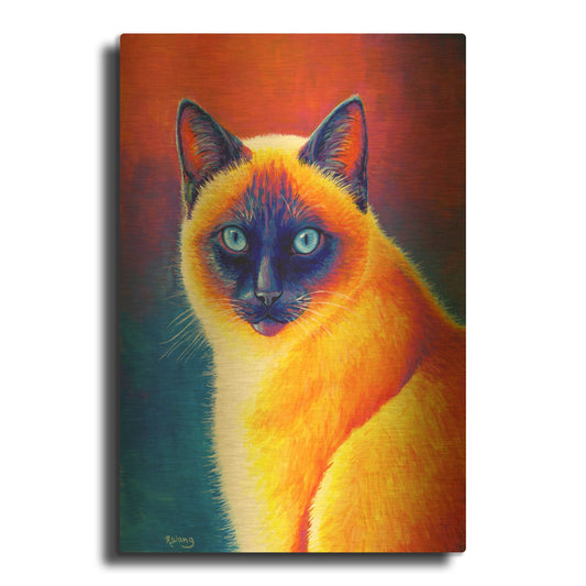 'Colorful Siamese Cat' By Rebecca Wang Art Gold Metal Wall Art
