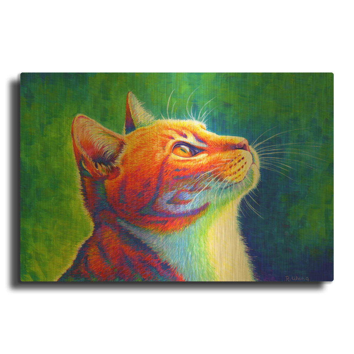 'Rainbow Cat' By Rebecca Wang Art Gold Metal Wall Art