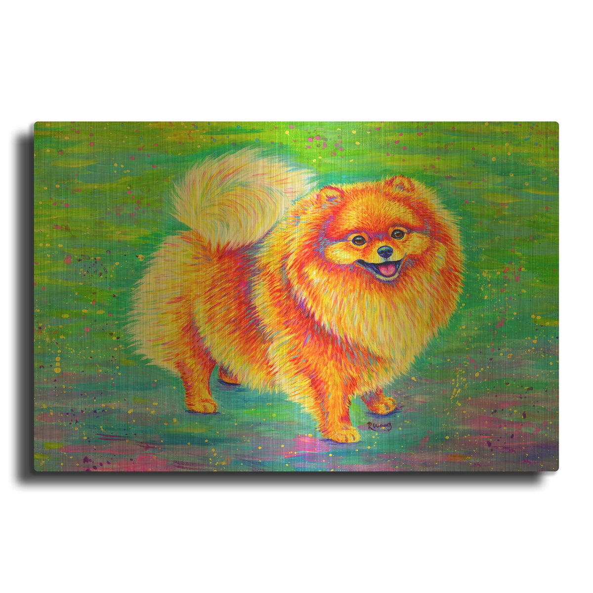 'Rainbow Pomeranian' By Rebecca Wang Art Gold Metal Wall Art
