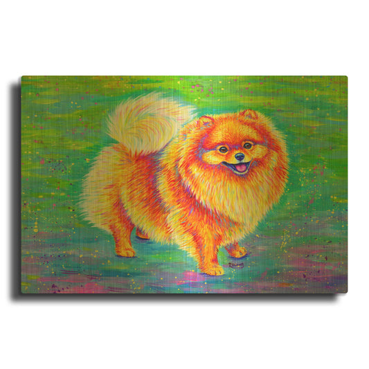 'Rainbow Pomeranian' By Rebecca Wang Art Gold Metal Wall Art